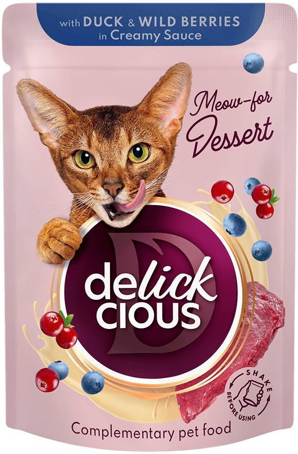 Płatki z kaczką i leśnymi jagodami w kremowem sosie